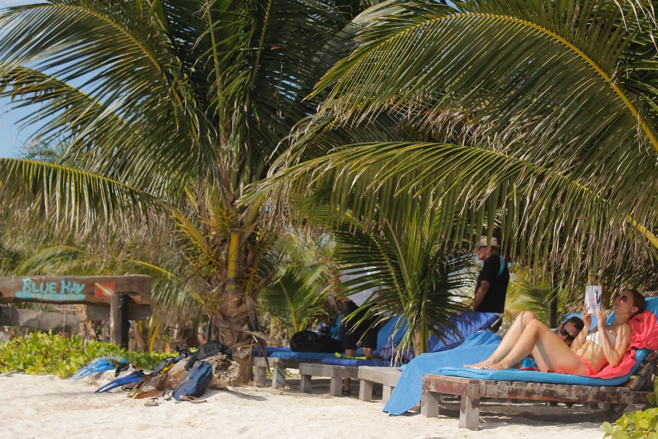 מאהאהואל Eco Cabanas Bluekay מראה חיצוני תמונה