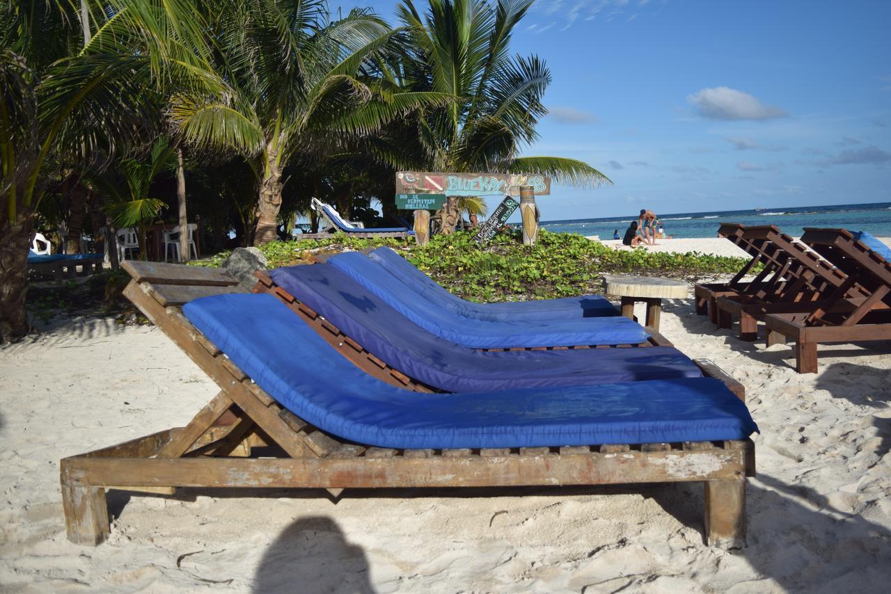 מאהאהואל Eco Cabanas Bluekay מראה חיצוני תמונה