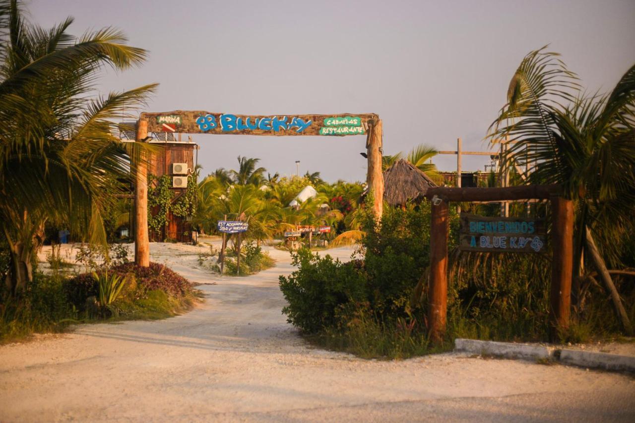 מאהאהואל Eco Cabanas Bluekay מראה חיצוני תמונה